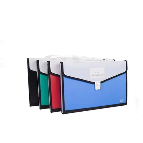 Expanding Bag 12 Pocket β Multi-Section Document Organizer File