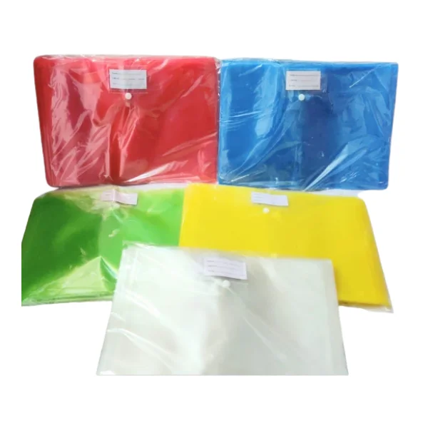 My Clear Bag 14C with Pocket β Transparent Document File with Inner Pocket
