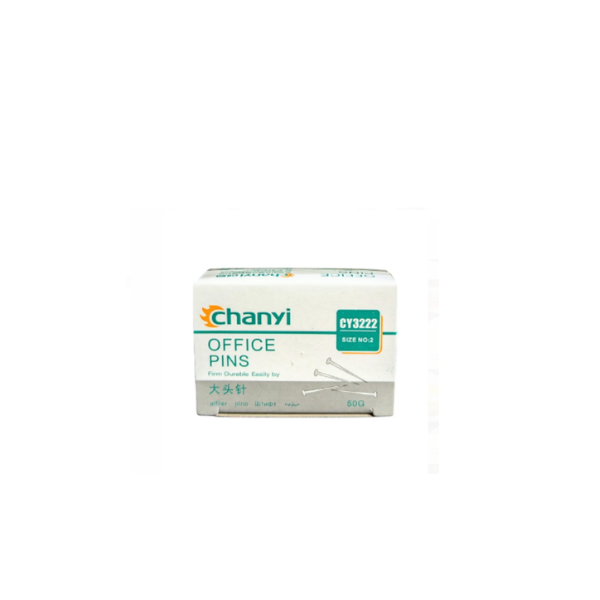 <h2>Chanyi Common Pins 50g – Office & Stationery Pin Box</h2>